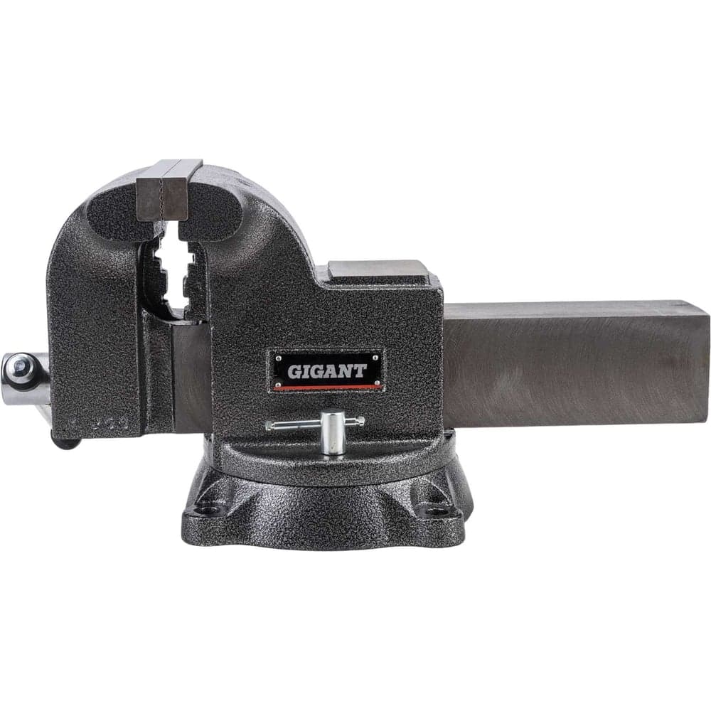 Поворотные слесарные тиски Gigant Professional 200 мм GP-BV-200