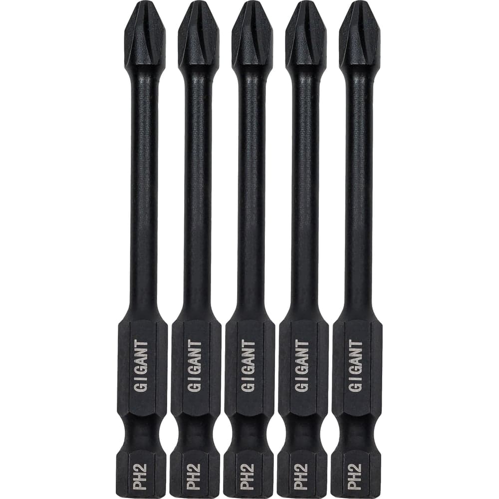 Торсионные биты PH2, 70 мм, 5 шт, S2 Gigant GBM TR5270