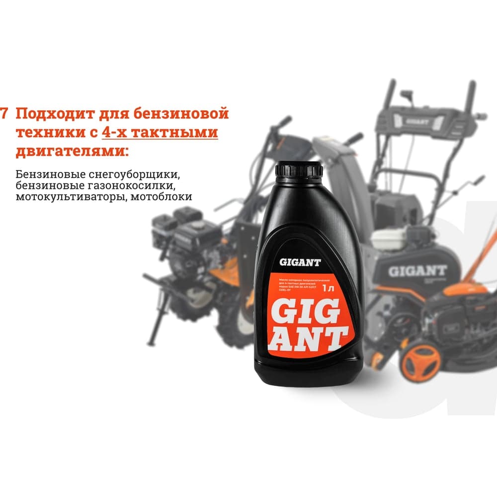 Масло 4-х тактное 5W30 1 л Gigant GDEL-07 — фото 5