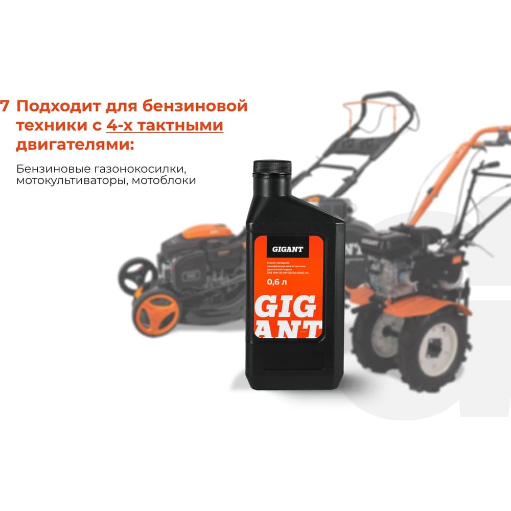 Масло 4-х тактное 10W30 0.6 л Gigant GDEL-04 — фото 5