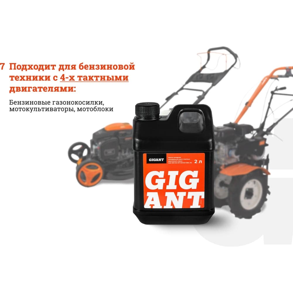 Масло 4-х тактное 10W30 2 л Gigant GDEL-05 — фото 5