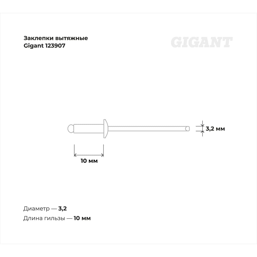 Заклепки вытяжные 3,2x10 100 шт. цинк Gigant 123907 — фото 3