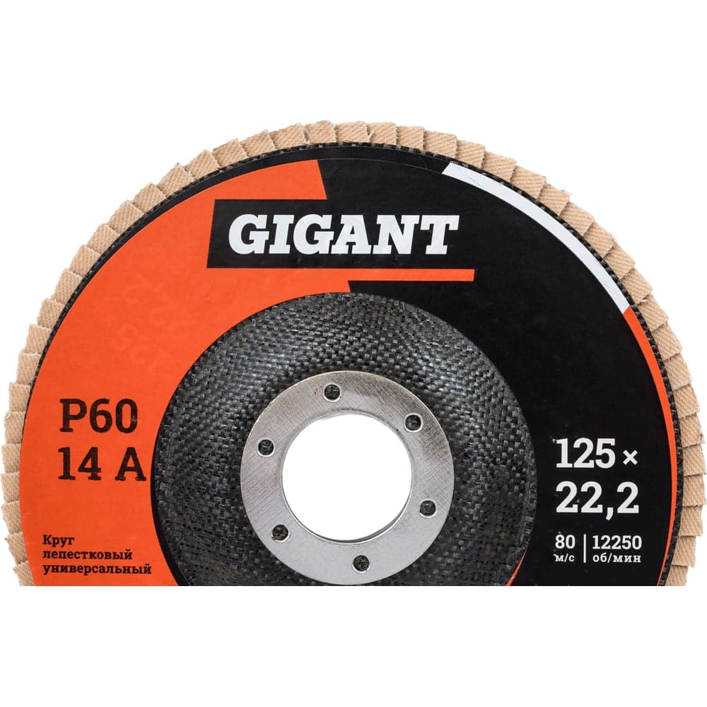Круг лепестковый торцевой 10 шт 125x22,2 Gigant GRF-60-10 — фото 2