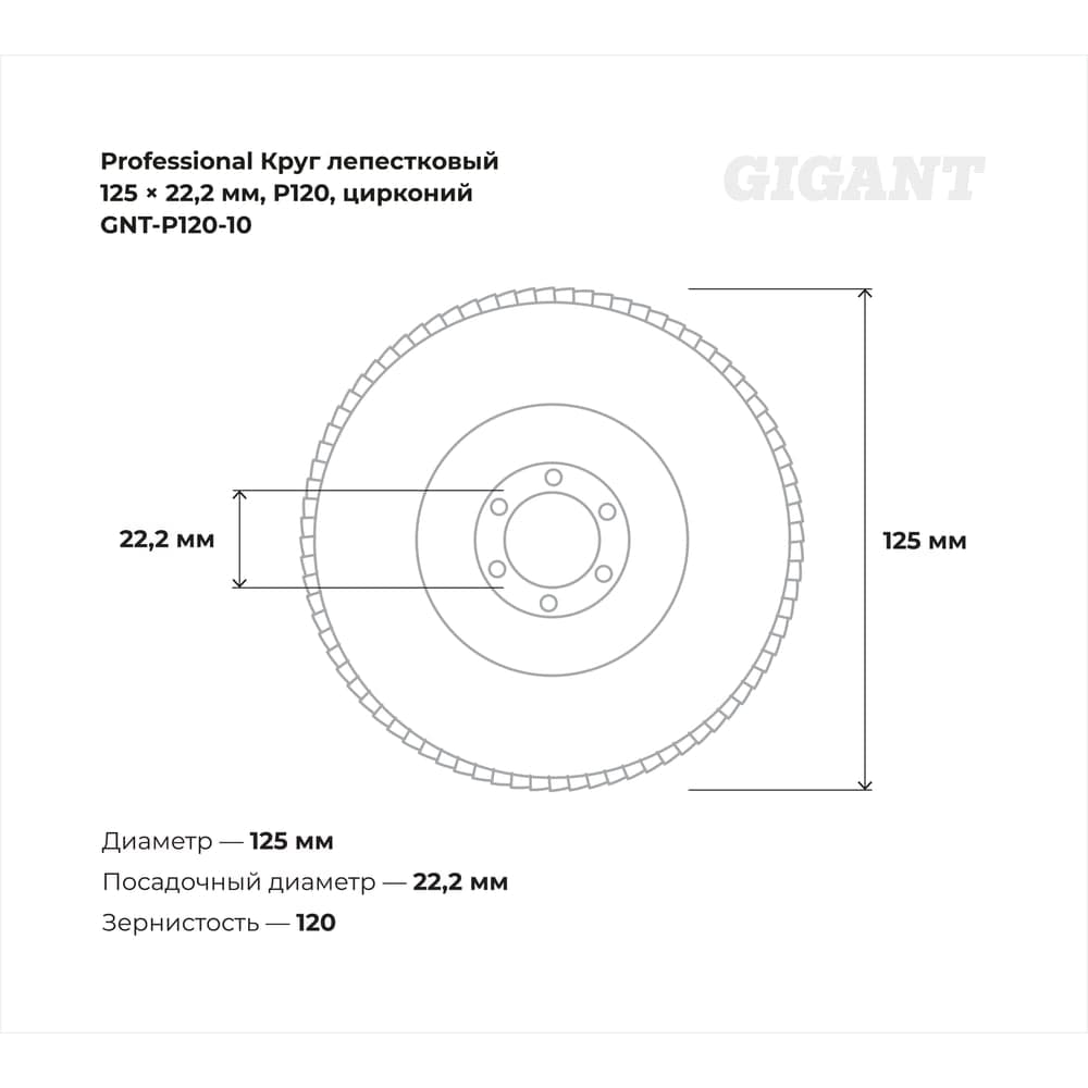 Круг лепестковый 125x22,2 мм; P120; цирконий, 10 шт Gigant Professional GNT-P120-10 — фото 3