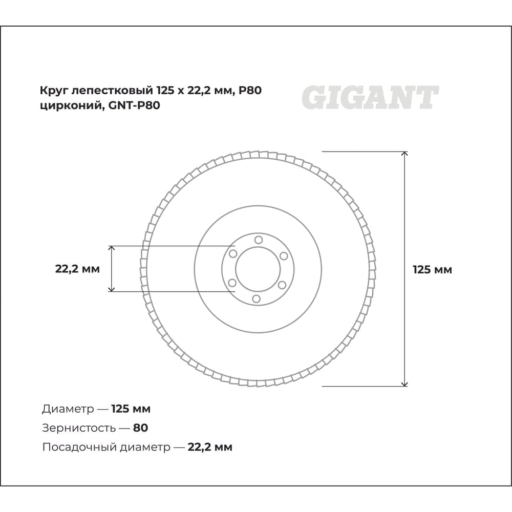 Круг лепестковый Professional 125х22.2 мм, P80, цирконий Gigant GNT-P80 — фото 3