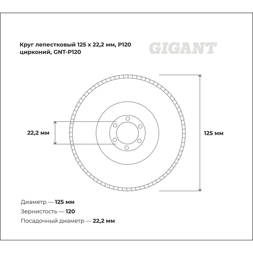 Круг лепестковый Professional 125х22.2 мм, P120, цирконий Gigant GNT-P120 — фото 3